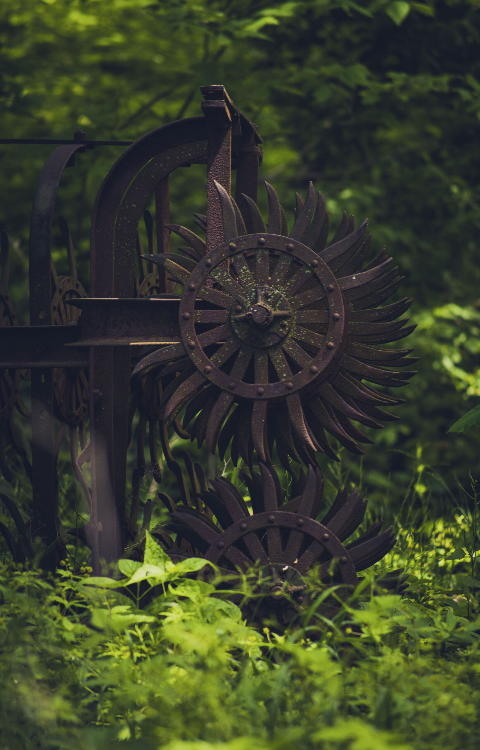 Patty Bell - Left Behind