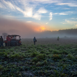 Gary Aleksiak - Teamwork on a Foggy Morning