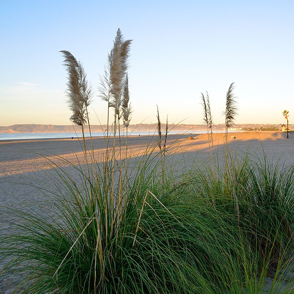 coronado-beach