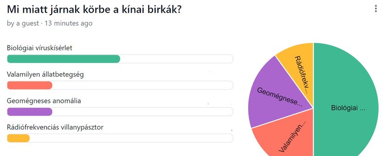 Miért járnak körbe-körbe a kínai birkák? Ön is szavazhat