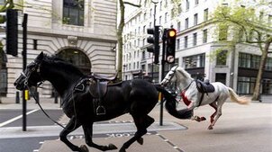 Ismét több elszabadult ló cikázott Londonban 
