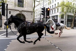 Lázadás a Buckingham-palotában, nem hiszi el, ami történt