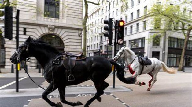 Lázadás a Buckingham-palotában, nem hiszi el, ami történt