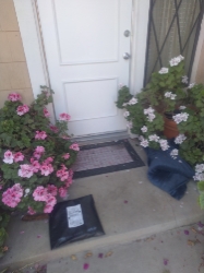 Proof of Delivery