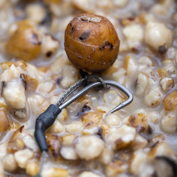 What Bait Do You Use To Catch Carp :: Tiger Nuts