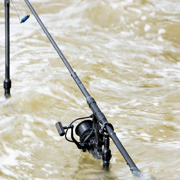 Nash Dwarf Shrink Rod 9ft / 3lb - Carp Fishing Rods – Anglers World