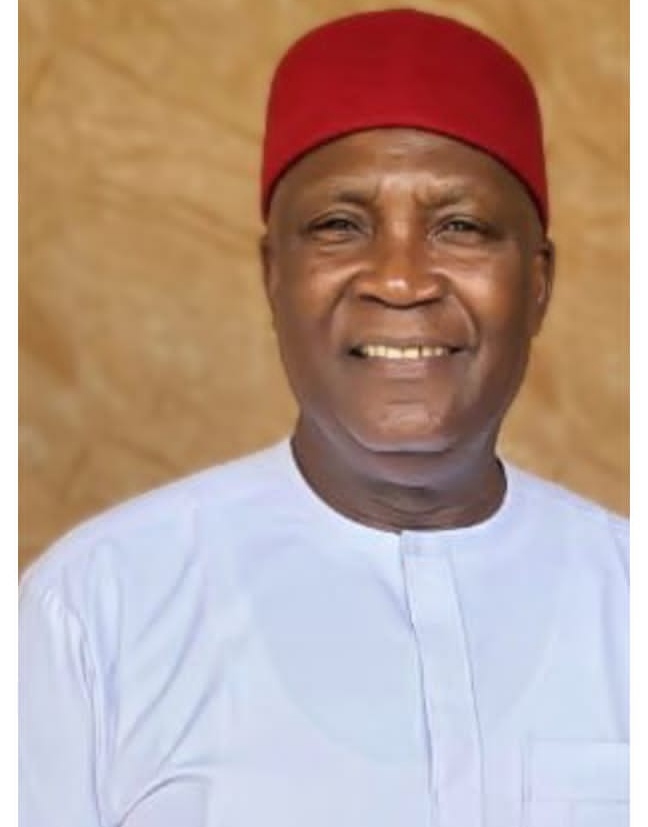 Examining Fallout of Senator Natasha's Kogi Rally and the Rule of Law in Nigeria