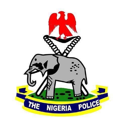 Viral video: Nigeria Police go tough on officers collecting money from Chinese