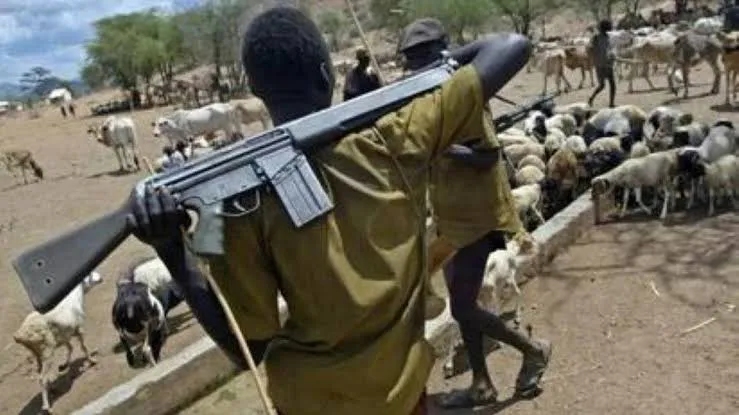 Gunmen abduct two local govt officials