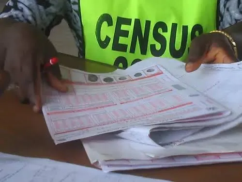 Census Committee: Ndigbo won’t accept allocation of figures - Ohanaeze youths