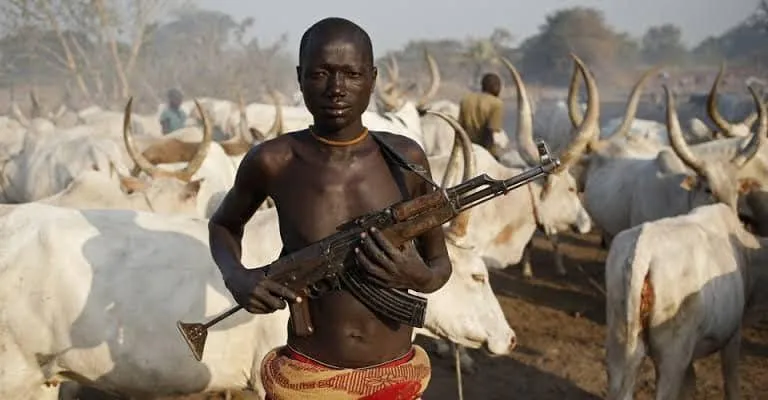 Vacate Benue immediately, we are fumigating all farmlands’ - Youths order herdsmen