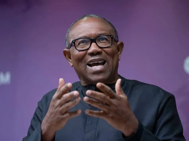 2027: Peter Obi's handler now with Tinubu, spokesman in talks with us - Presidency