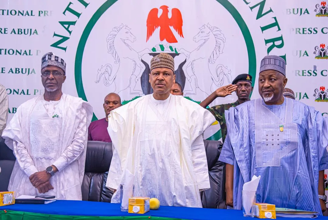 Nigerian troops well equipped, neutralised 13,543 criminals in two years - Defence Minister