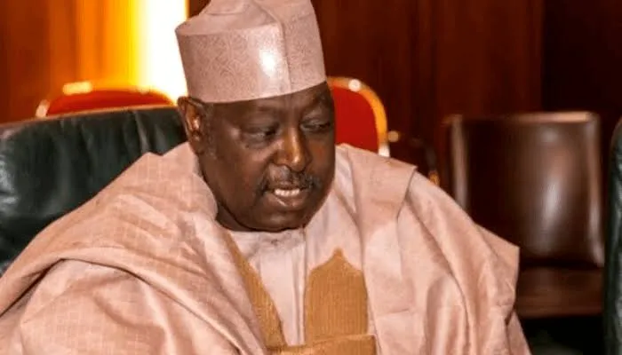 2027: PDP out of merger plans, we have many options - Ex-SGF, Babachir opens up