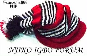 2027: South-East won’t give Tinubu more than 5 percent votes - Njiko Igbo Forum