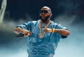 I'm Igbo by blood - Davido