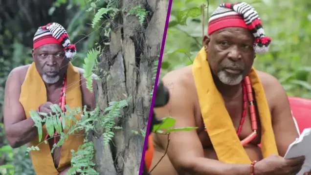 Nollywood loses another veteran actor, Tom Njemanze