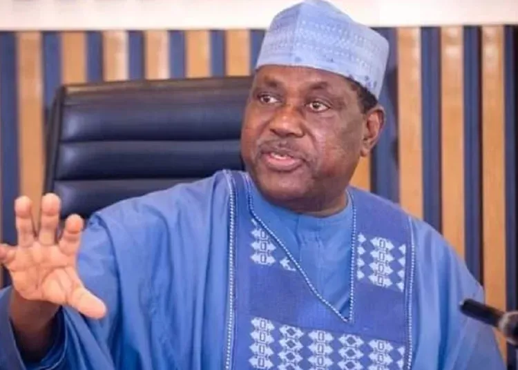 Fraudsters have cloned my voice - SGF, Akume cries out 