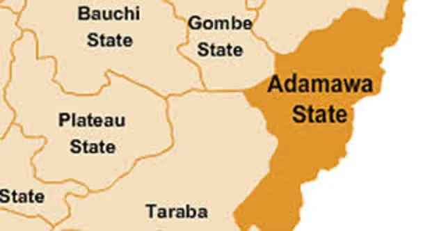 Rare disease hits Adamawa, eats away flesh of 28 persons 