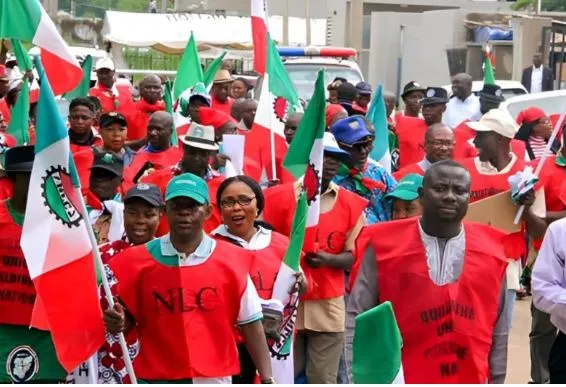 NLC announces major action against Dangote Refinery 