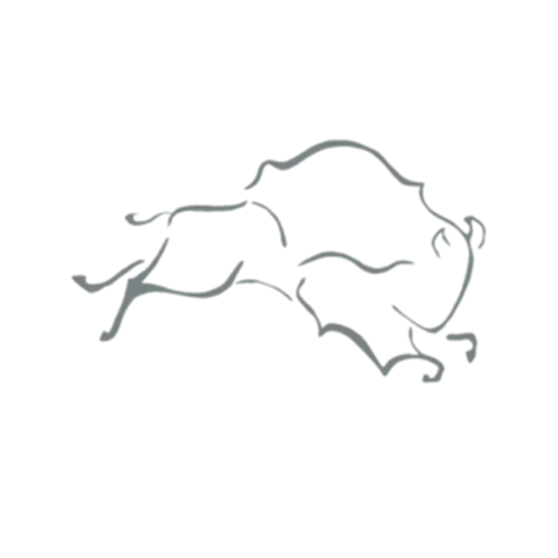 Avatar for Running Buffalo Resources Inc.