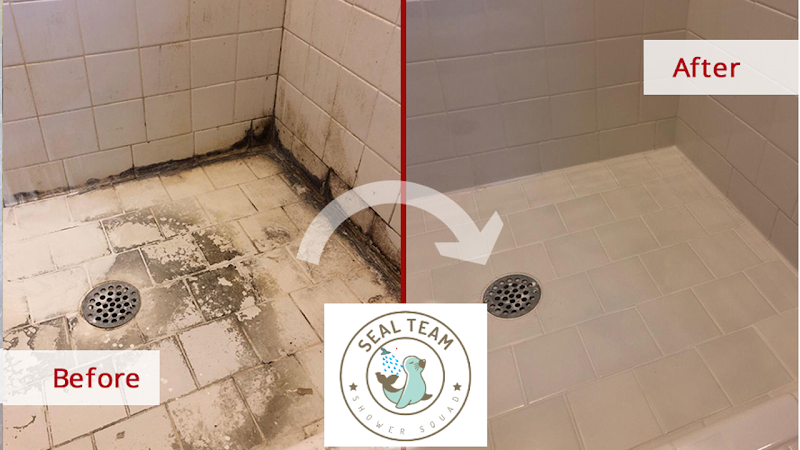 Avatar for Seal Team - Shower/Tile & Grout Repair