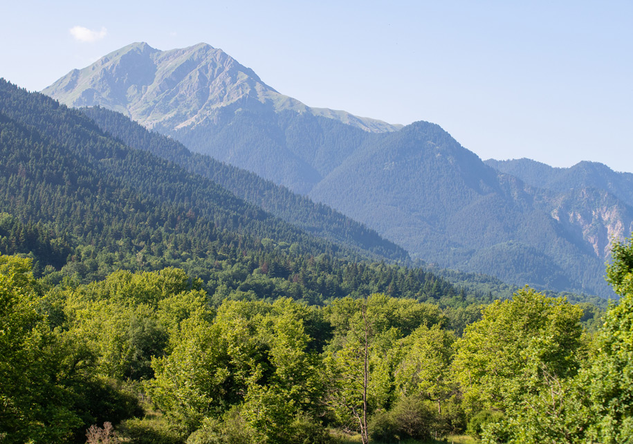 Mountain surrounded by lush green forest.