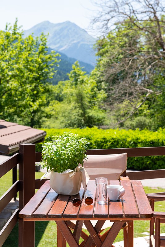 Wooden table with plant, with the nature in the background