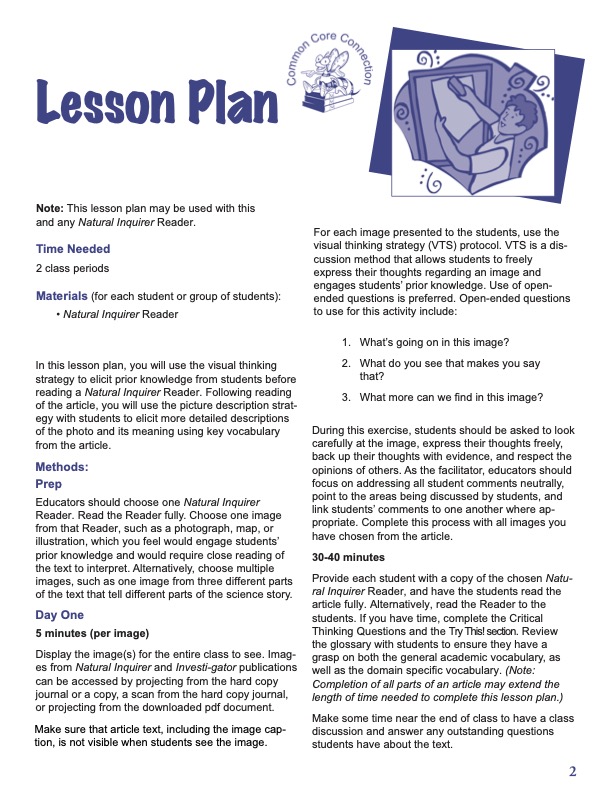 Lesson Plan - Visual Thinking Strategy and Picture Description 