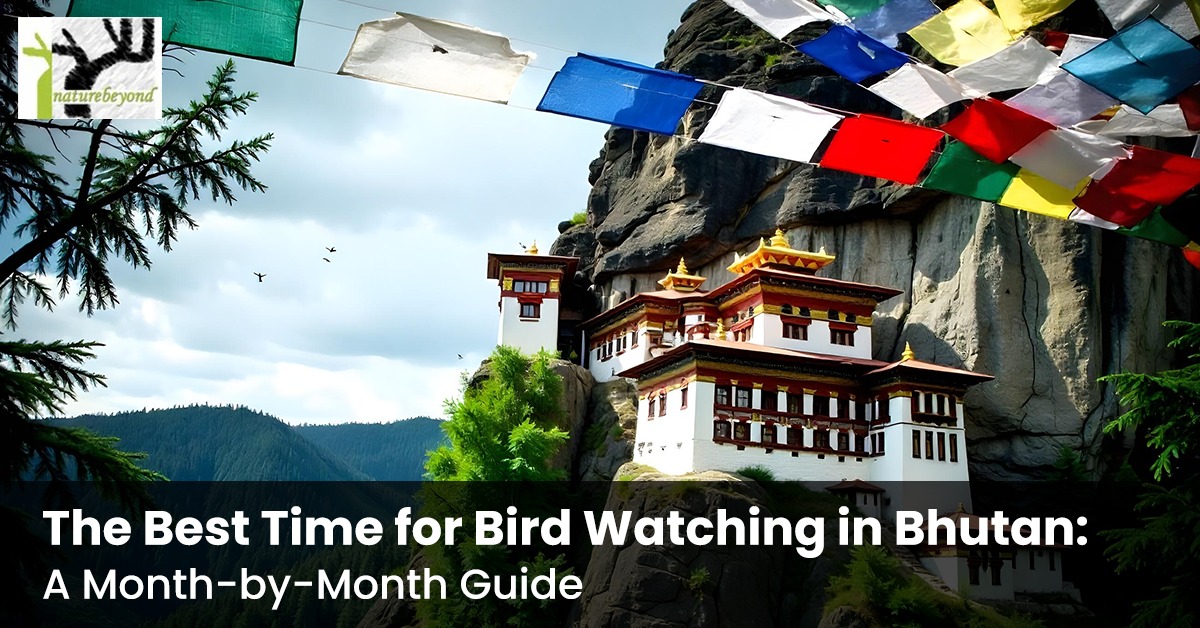 Image for The Best Time for Bird Watching in Bhutan: A Month-by-Month Guide