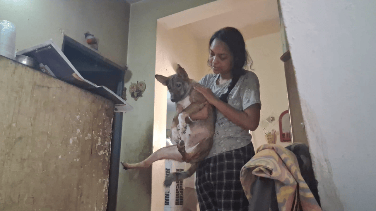 छिंदवाड़ा की डॉग लवर मोहिनी की अनोखी दास्तां 