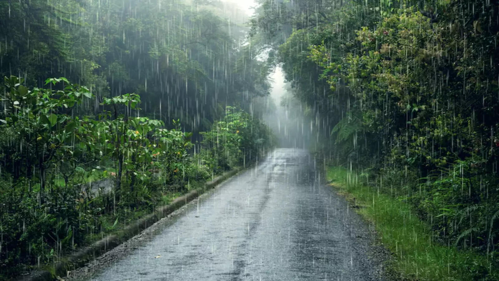 19 राज्यों में मौसम मचाएगा तबाही  बारिश-आंधी का अलर्ट 
