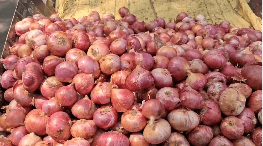 1रुपये किलो बिका प्याज,मंदसौर मंडी में किसानों का छलका दर्द