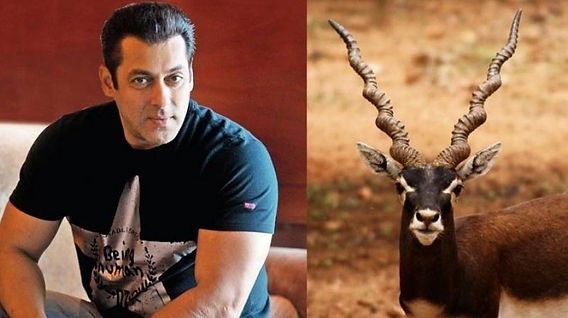 अभिनेता सलमान खान के चर्चित शिकार मामले पर बनी फिल्म काला हिरण अब बड़े पर्दे पर 