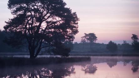 Natuur in Nederland: ochtend zonsopkomst time-lapse bij meertje