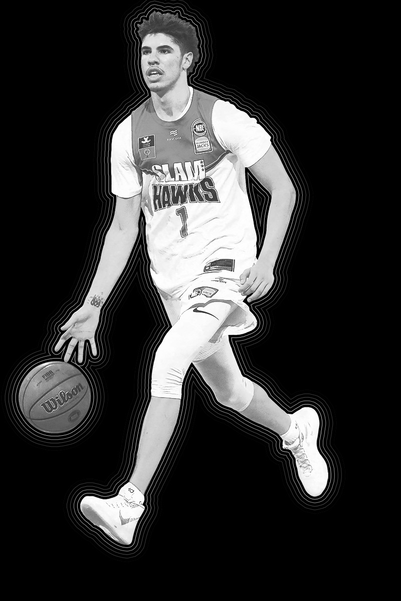Charlotte Hornets Wilson NBA Dribbler - Super Mini