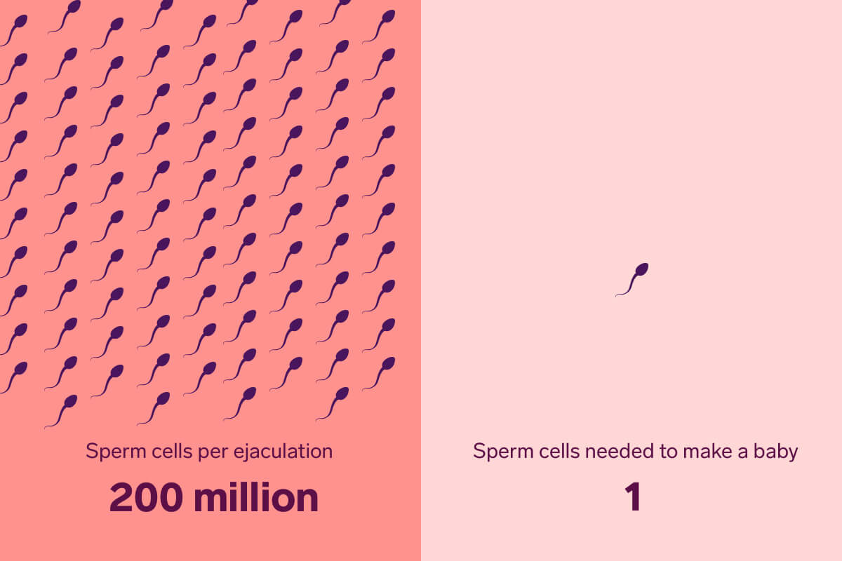 Sperm survival outside the body