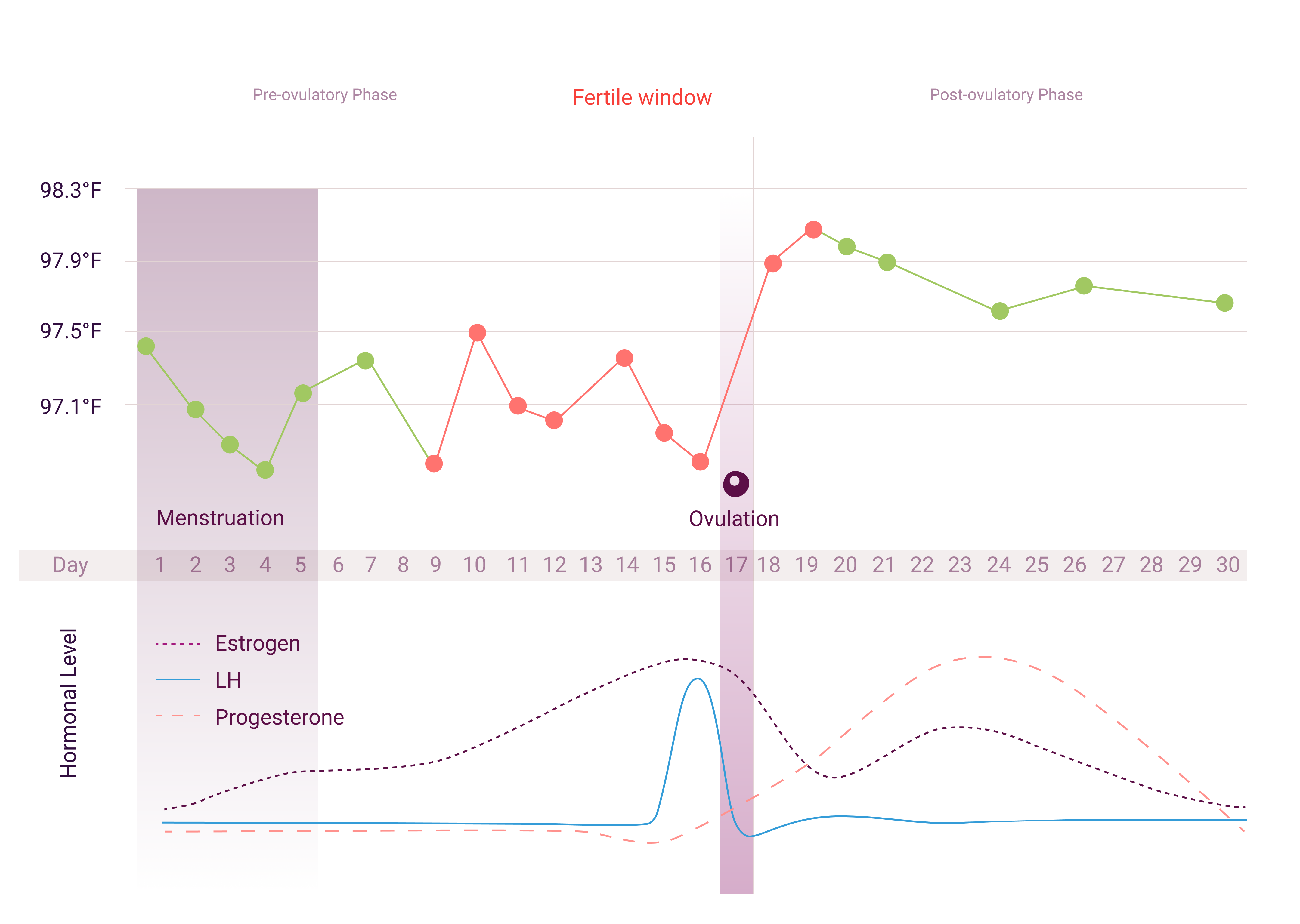 Temperature Chart Menstrual Cycle