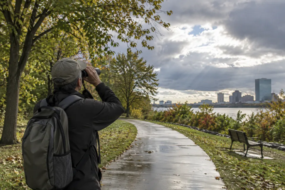 Illustrative scene for Weather changes the return plan