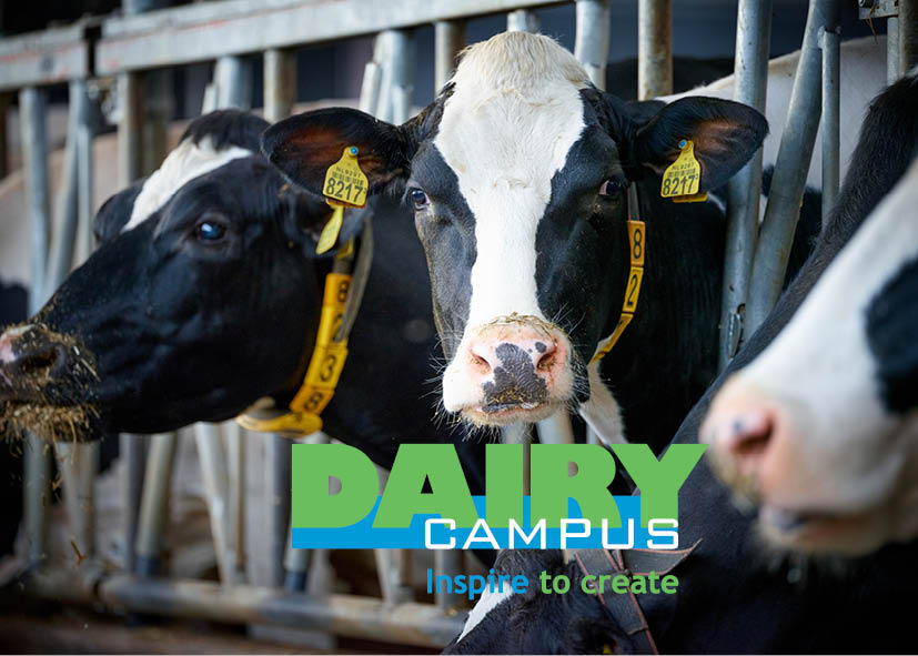 Dairy Campus