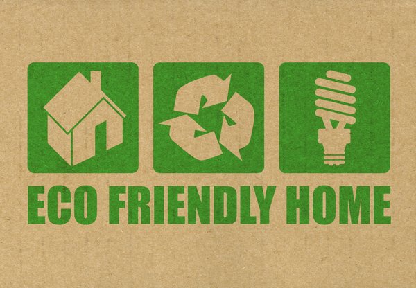 Why More Homeowners Are Switching to Eco-Friendly Renovations