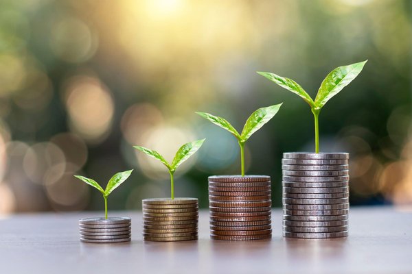 Top 5 Coins for High Return in 2025