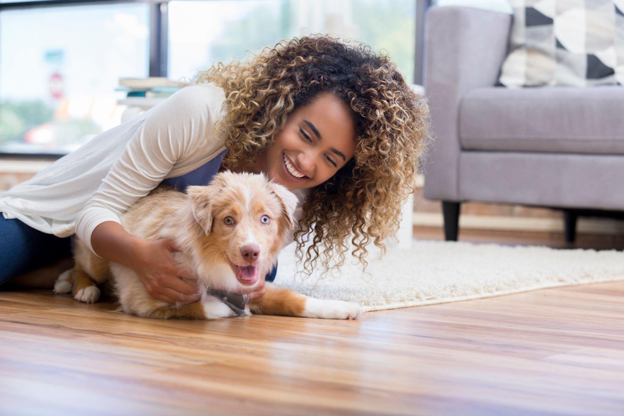 Find Your Perfect Puppy: Puppies for Sale Near You
