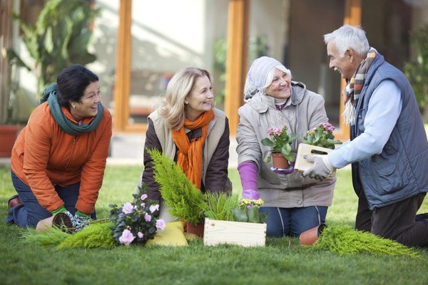 Blooms of Well-Being: The Therapeutic Benefits of Gardening for Seniors