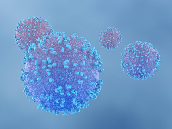Strengthen Your Defenses: A Guide to Supporting Your Immune System