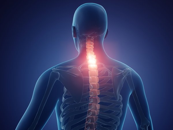 Improving Your Workspace: A Guide to Essential Ergonomics
