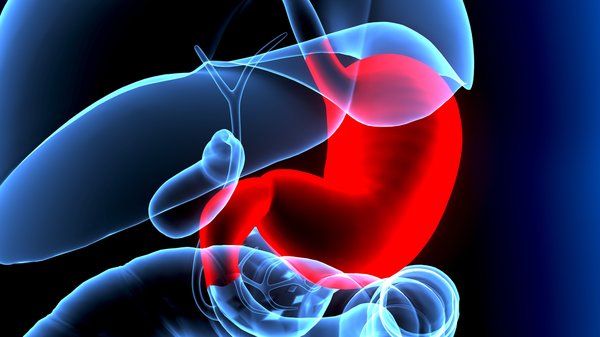 Unlocking Your Gut Health: Simple Ways to Nurture Your Digestive System