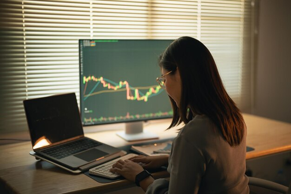 Understanding the Stock Market: A Beginner's Guide to Investing