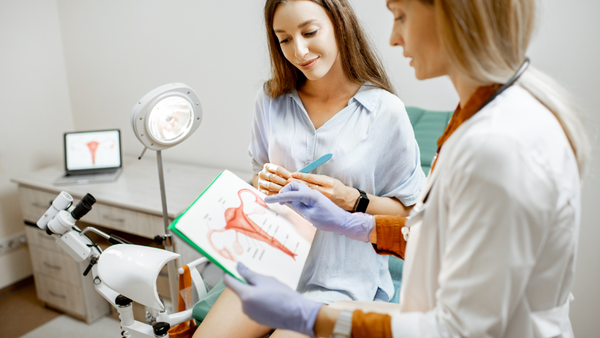 Understanding IVF Programs