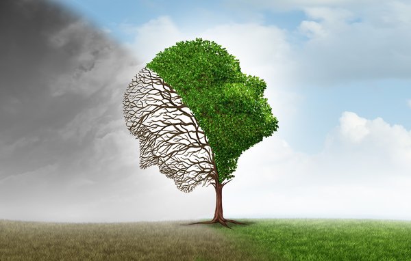 Exploring the Pillars of Mental Wellness and Support Options